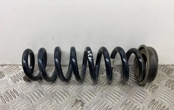 BMW 3 GT F34 Rear coil spring