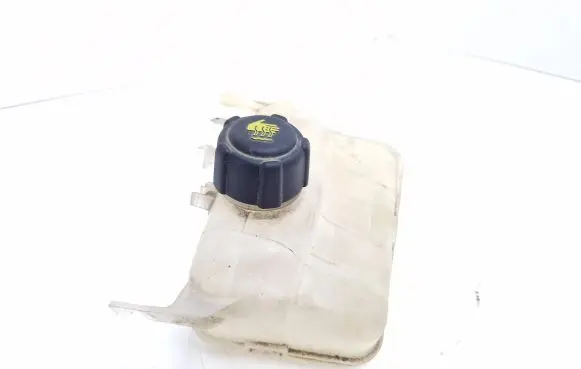 Renault Scenic III - Grand scenic III Coolant expansion tank/reservoir 217100005R