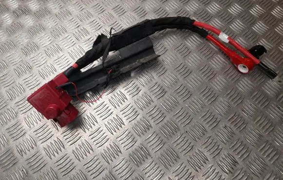 BMW iX1 Other wiring loom 5A54F29