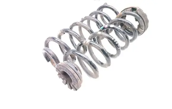 Rear coil spring