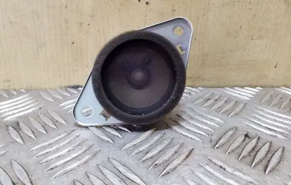 Panel speaker