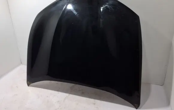 Ford Mach-E I Engine bonnet/hood LJ8BR16612AH