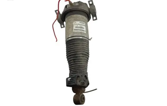 Audi Q7 4L Shock absorber/damper/air suspension 7L8616019A 15140004894 070507061513
