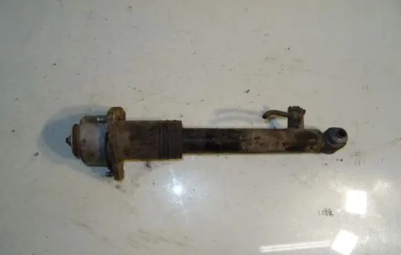 BMW X5 E70 Rear shock absorber/damper 6781922