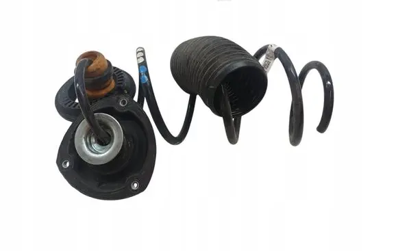 Rear coil spring