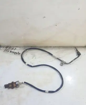 Volkswagen PASSAT B8 Exhaust gas temperature sensor 03N919529F
