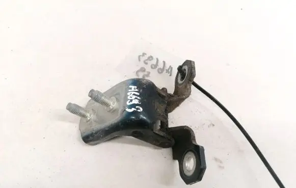 Renault Laguna II Rear door lower hinge