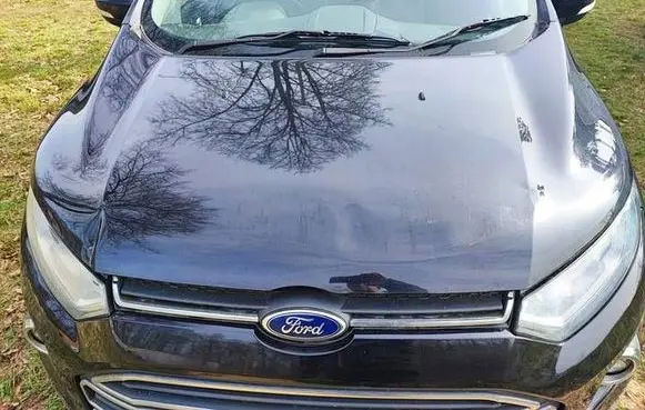 Engine bonnet/hood