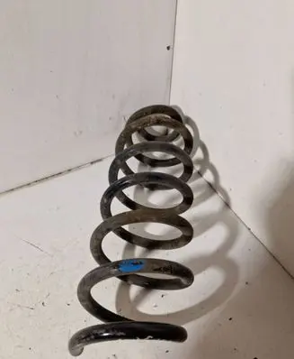 Rear coil spring