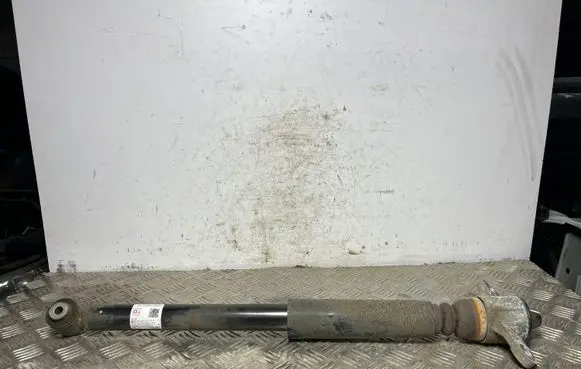 Hyundai Kona I Rear shock absorber/damper 5530J9300