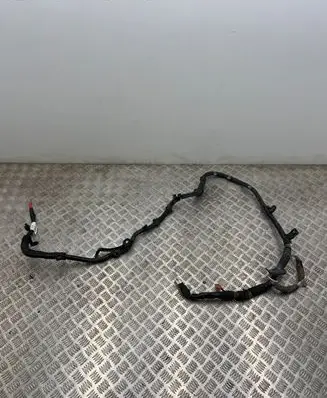 Renault Arkana Other wiring loom 295D64731R 5767