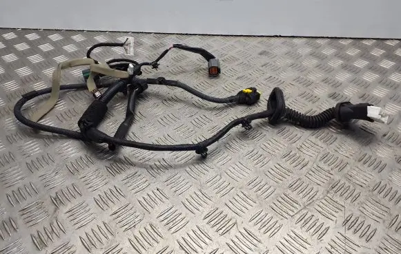 Rear door wiring loom
