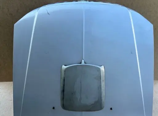 Hyundai Terracan Engine bonnet/hood 79000H1212