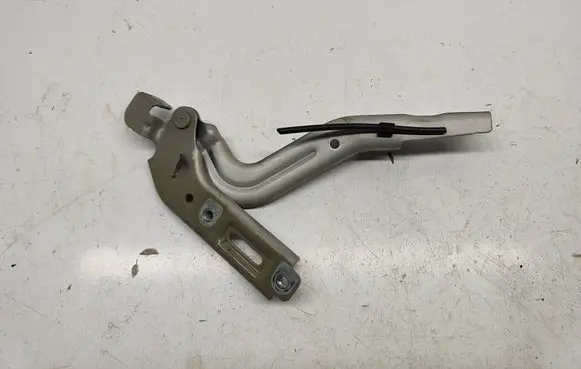Chrysler Pacifica Engine bonnet/hood hinges 68488454aa
