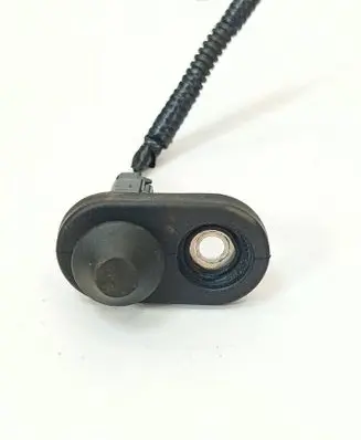 Toyota Prius (XW30) Rear door sensor 