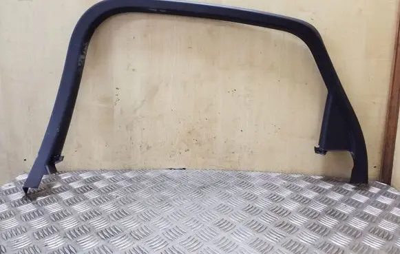 Other rear door trim element
