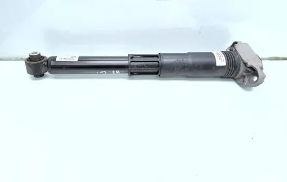 Cupra Born Rear shock absorber/damper 1EA512011AL 1EA513425B