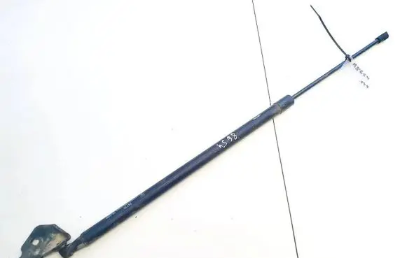 Renault Scenic III - Grand scenic III Tailgate/trunk strut/damper 24770