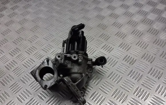 Renault Megane III EGR valve 7.00368.14