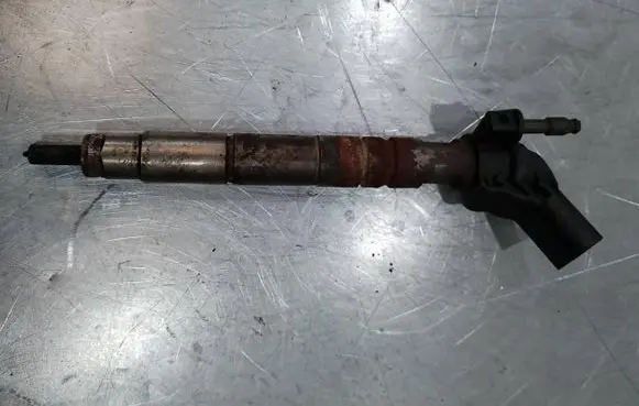 Opel Insignia A Fuel injector 555652090445117018