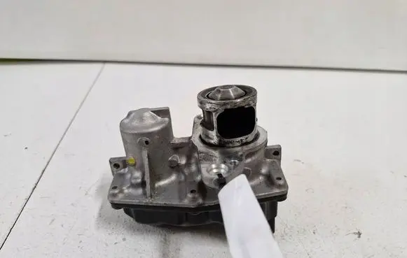 Renault Trafic III (X82) EGR valve 1471058982R