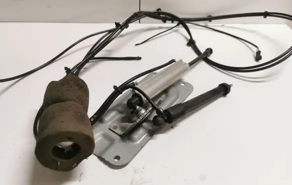 Tailgate strut