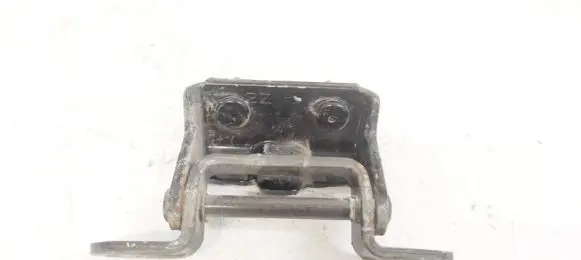Tailgate/trunk/boot hinge