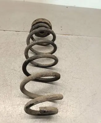 Rear coil spring