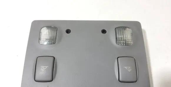 Rear seat light