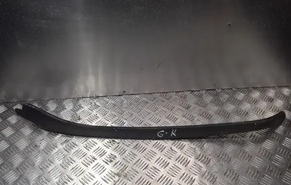 Volkswagen Golf V Rubber seal rear door 1K6839373