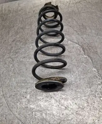 Rear coil spring