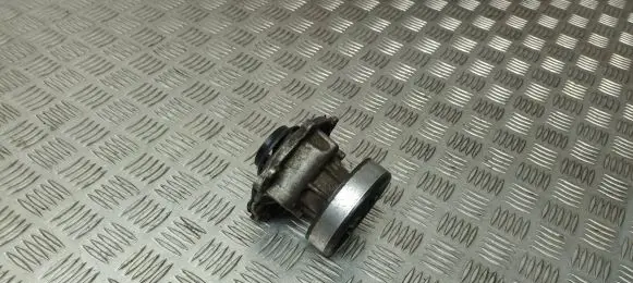 Volkswagen PASSAT B5.5 Water pump 028121