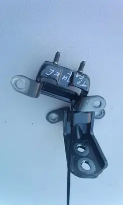 Nissan Juke I F15 Loading door hinge set 57841G639