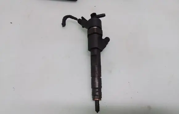 Renault Scenic II - Grand scenic II Fuel injector 0445110110B