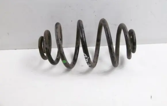Volkswagen PASSAT B5 Rear coil spring