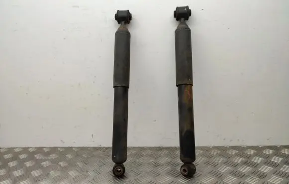 Rear shock absorber/damper