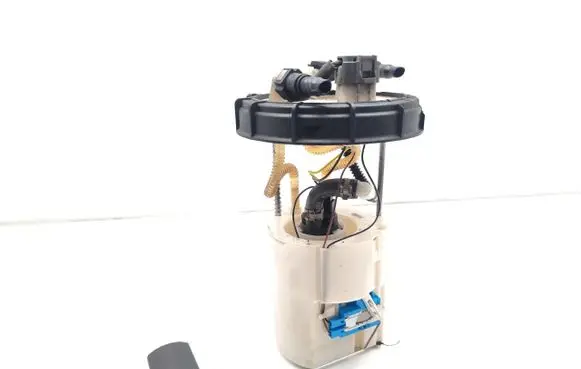 Hyundai Santa Fe In-tank fuel pump 1001840180 23120200