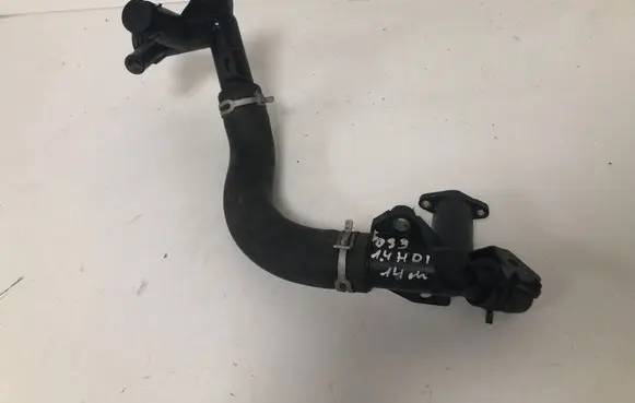 Citroen DS3 Engine coolant pipe/hose 9684589080