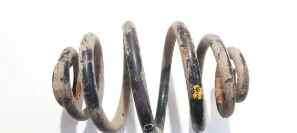 Rear coil spring