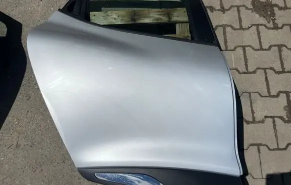 Renault Clio IV Rear door