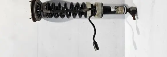 Mercedes-Benz S W221 Rear shock absorber with coil spring A2213202513