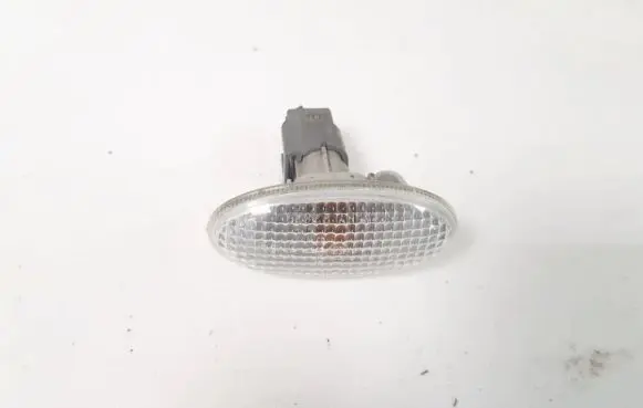 Front fender indicator light
