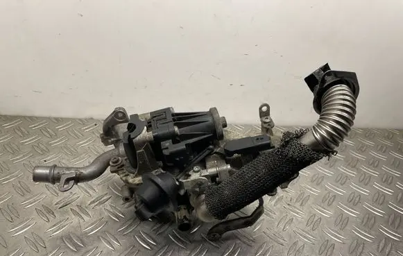 Ford C-MAX II EGR valve 702209040 9671187780 7189010943