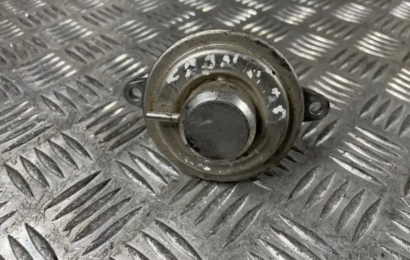 Opel Frontera B EGR valve 50024005