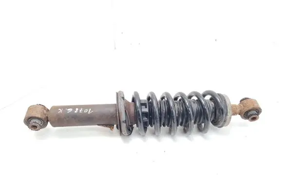 Peugeot 508 Rear shock absorber with coil spring 9593