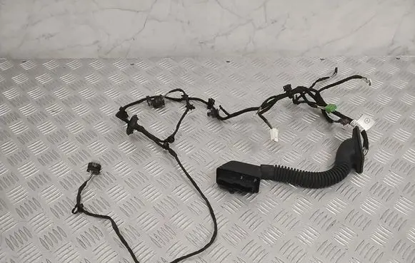 Other wiring loom