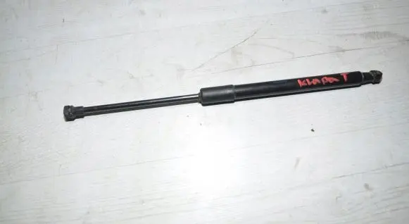 Dacia Duster II Tailgate/trunk strut/damper 904522228R