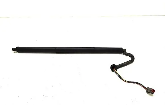Tesla Model S Tailgate strut 600661000C