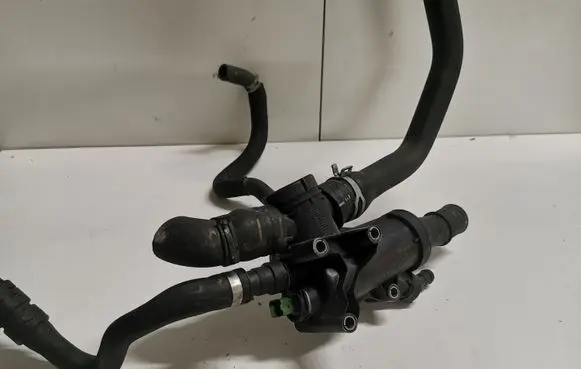 Thermostat/thermostat housing