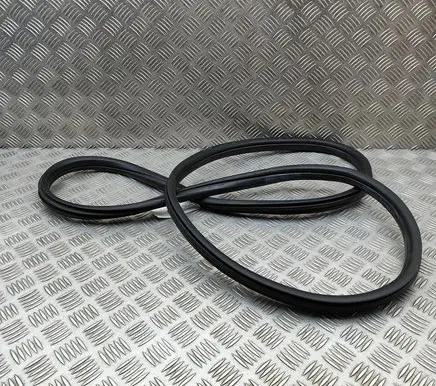 BMW X1 F48 F49 Rubber seal rear door 7349665
